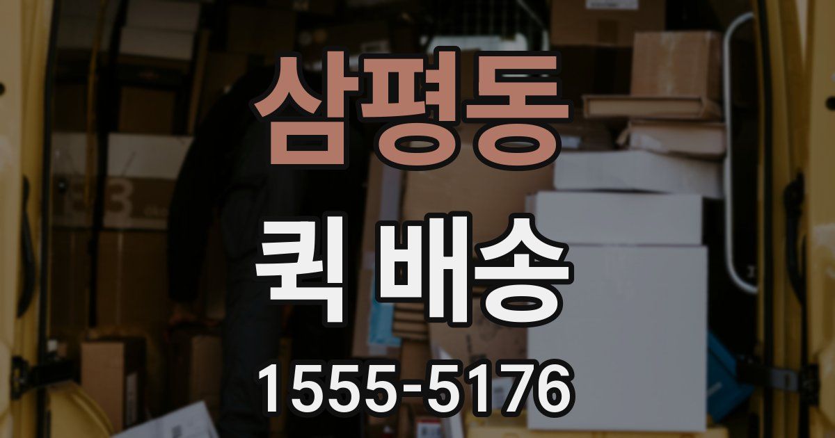 삼평동 퀵 배송