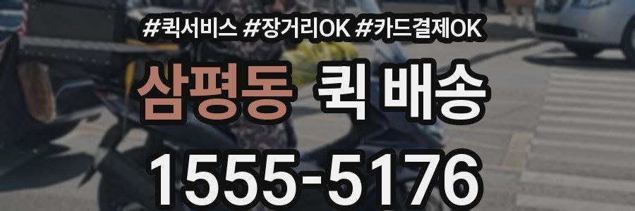 삼평동 퀵 배송