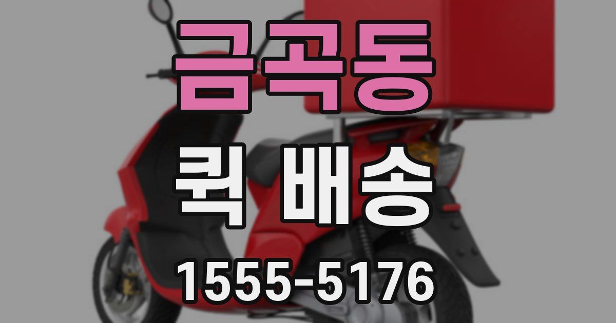 금곡동 퀵 배송