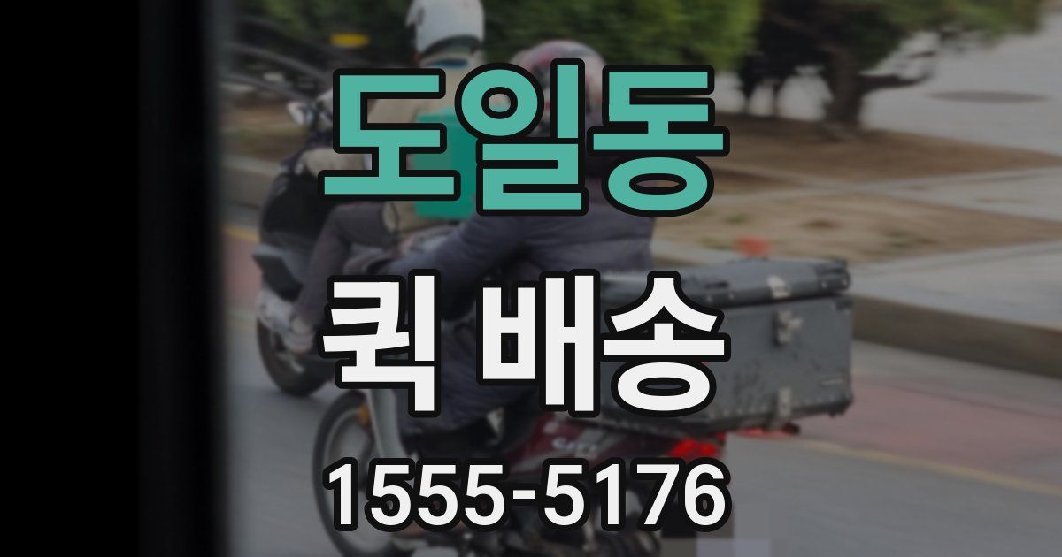 도일동 퀵 배송