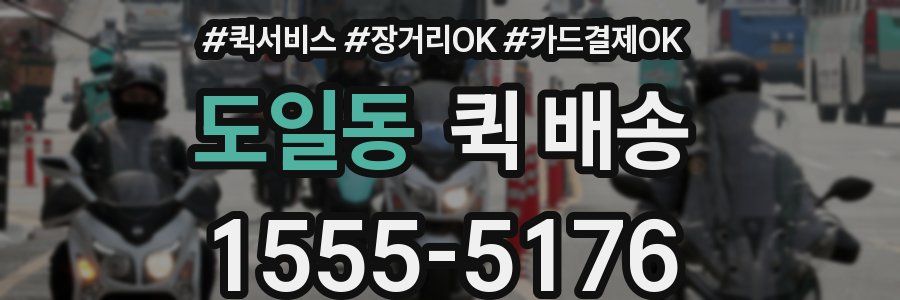 도일동 퀵 배송