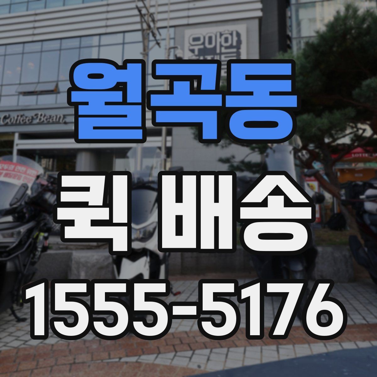 월곡동 퀵 배송 일정이 급할 때 활용하는 방법