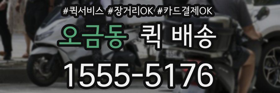 오금동 퀵 배송