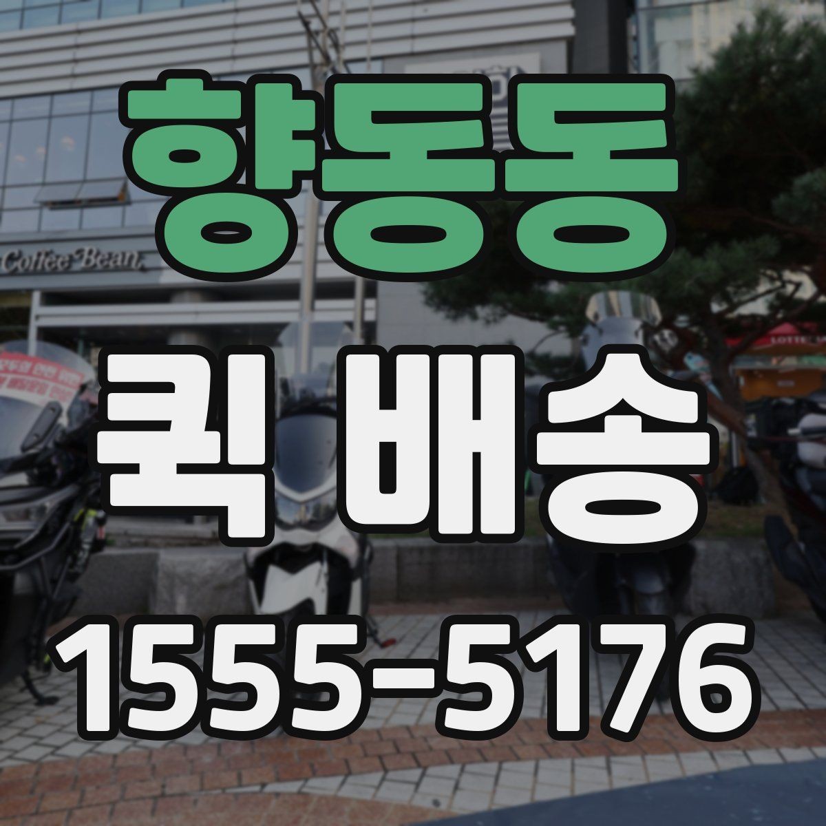 향동동 퀵 배송 요금 안내와 확인 포인트