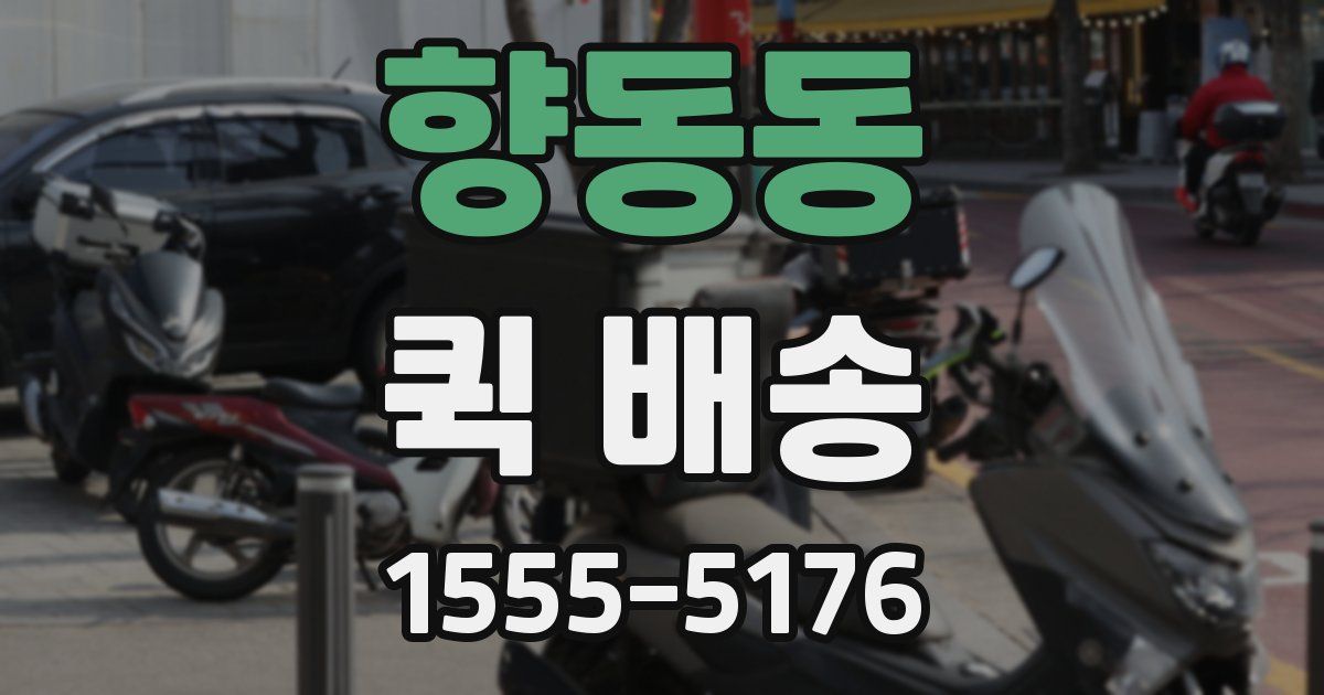 향동동 퀵 배송