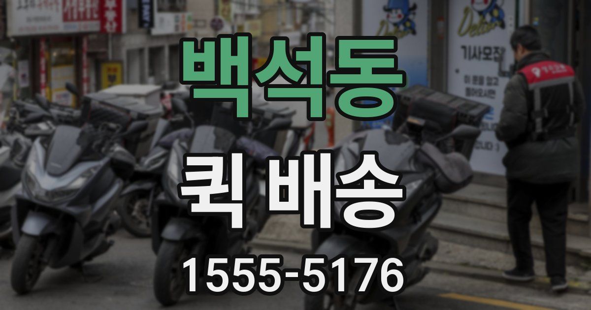 백석동 퀵 배송