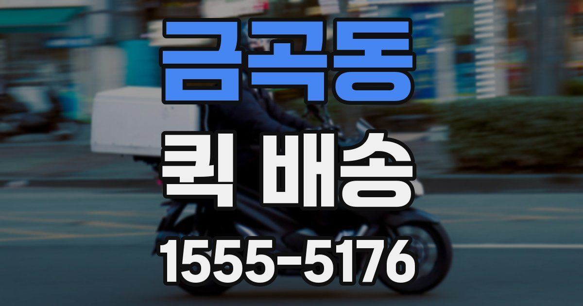 금곡동 퀵 배송