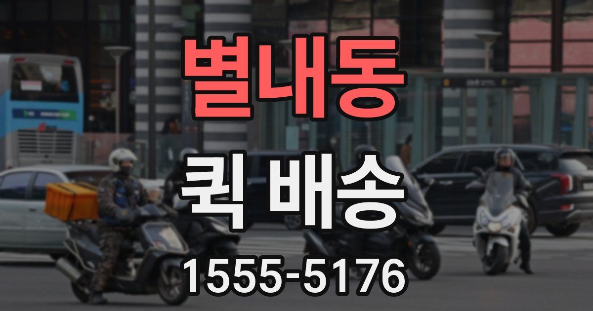 별내동 퀵 배송