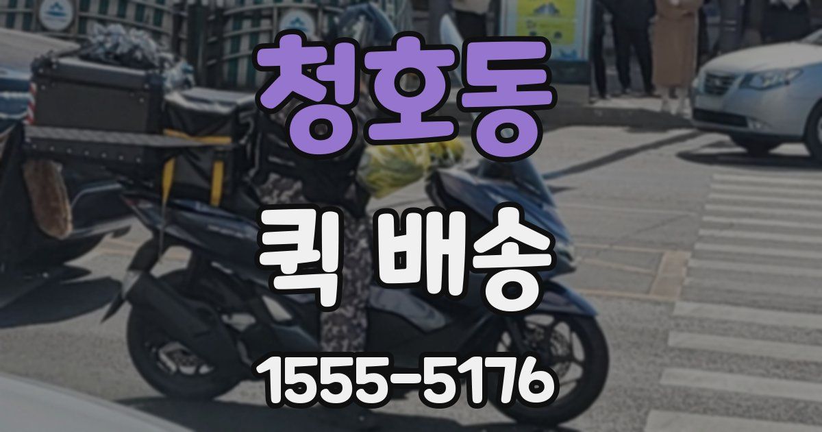 청호동 퀵 배송