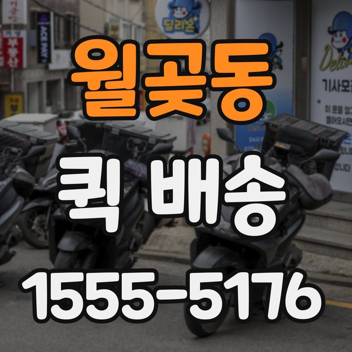 월곶동 퀵 배송 서비스 비교 전 체크할 기준