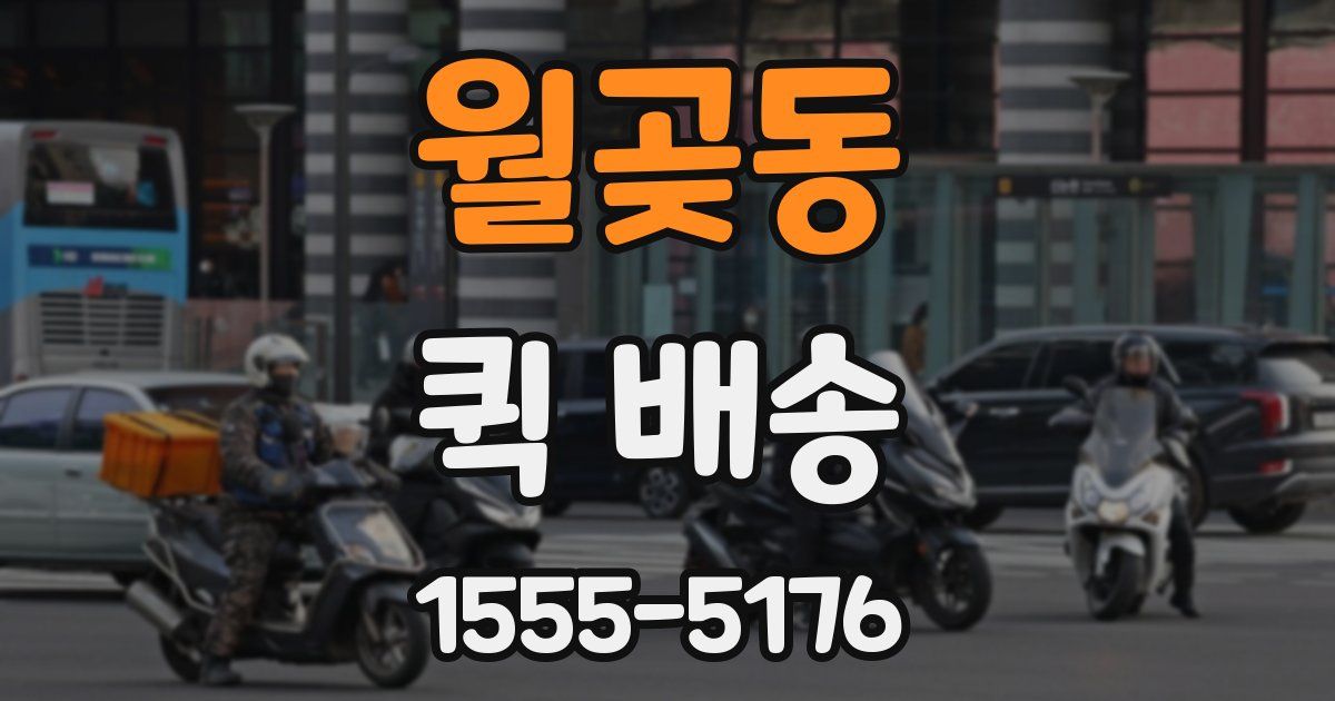 월곶동 퀵 배송