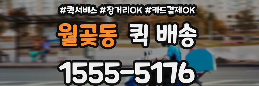 월곶동 퀵 배송