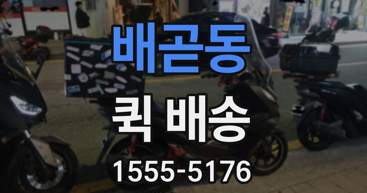 배곧동 퀵 배송