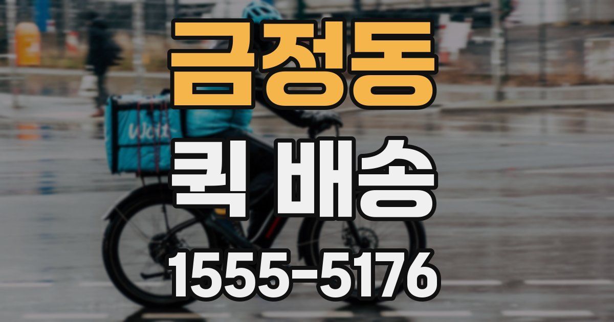 금정동 퀵 배송