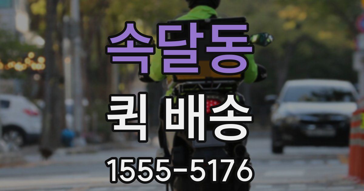 속달동 퀵 배송