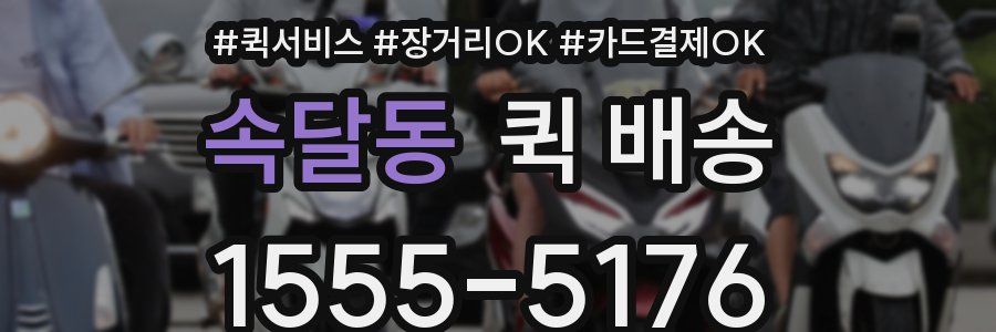 속달동 퀵 배송