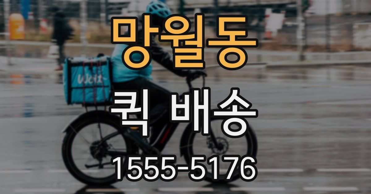 망월동 퀵 배송