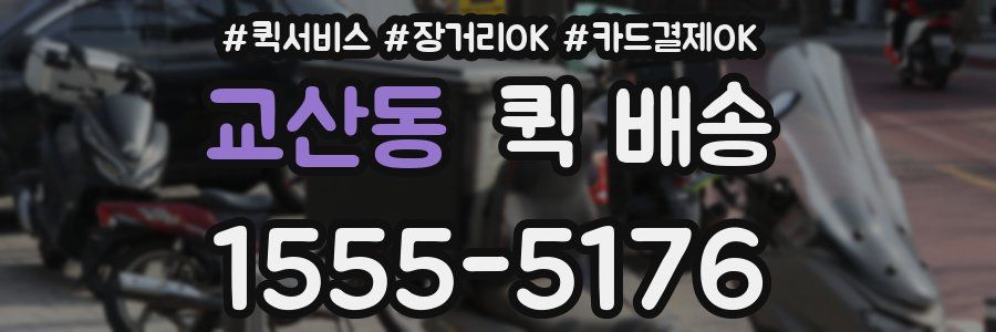교산동 퀵 배송