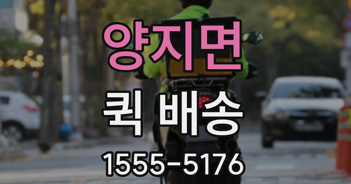 양지면 퀵 배송
