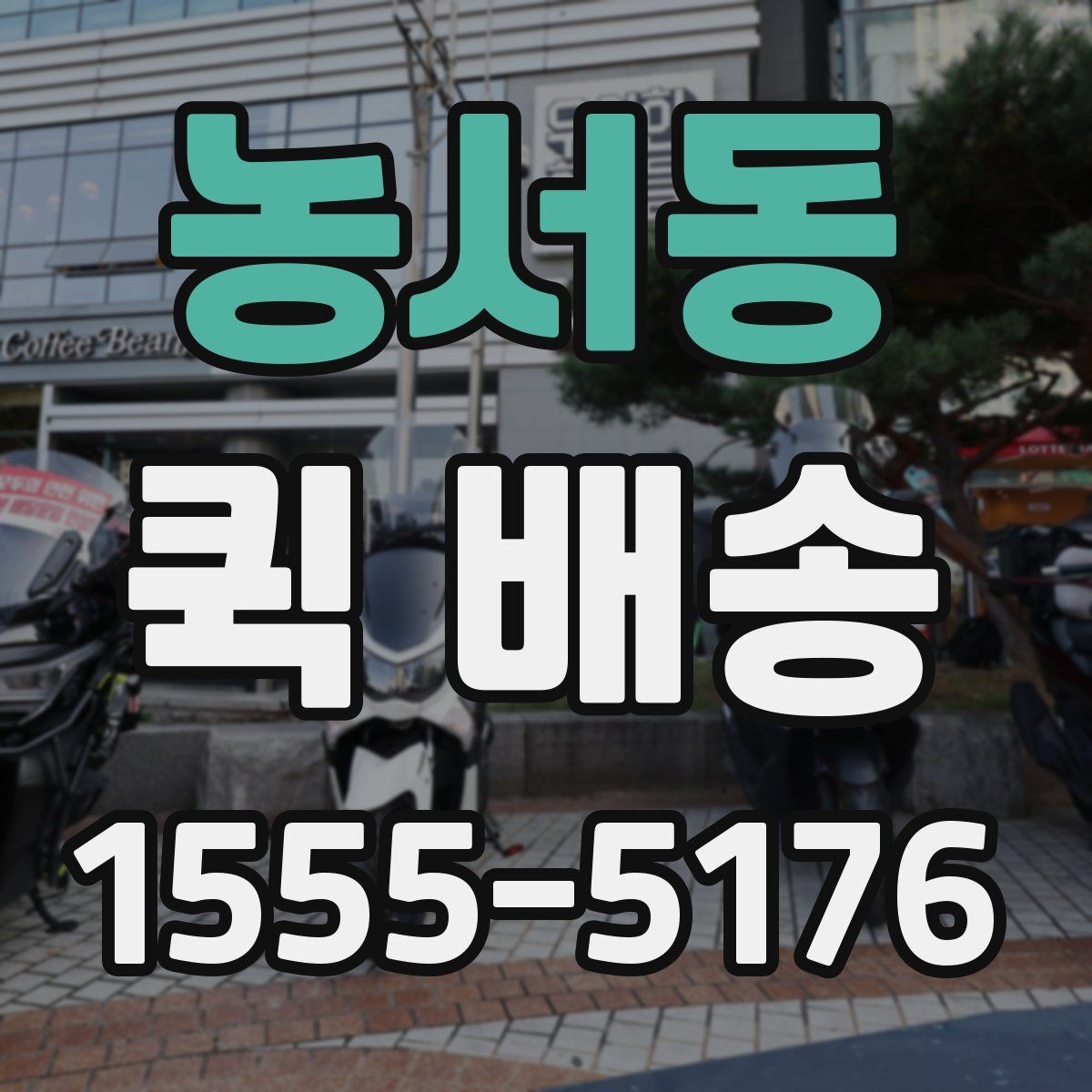 농서동 퀵 배송 포장 방법에 따른 안전성 차이