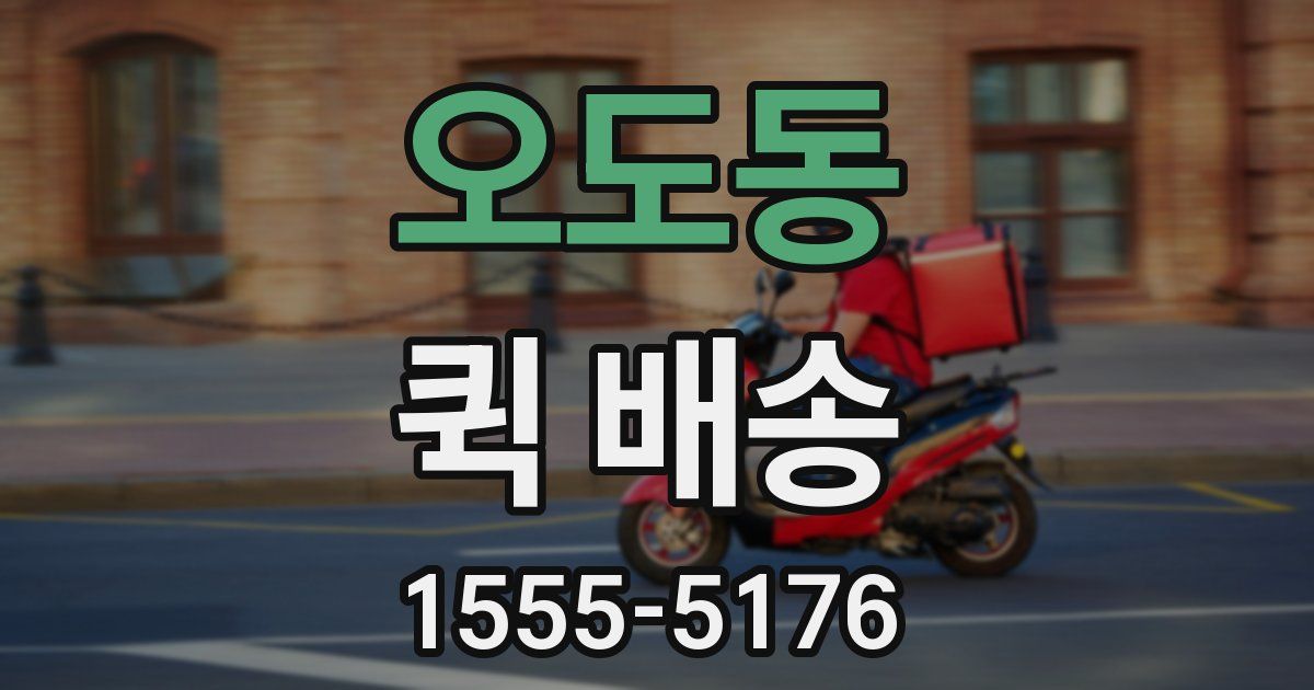 오도동 퀵 배송