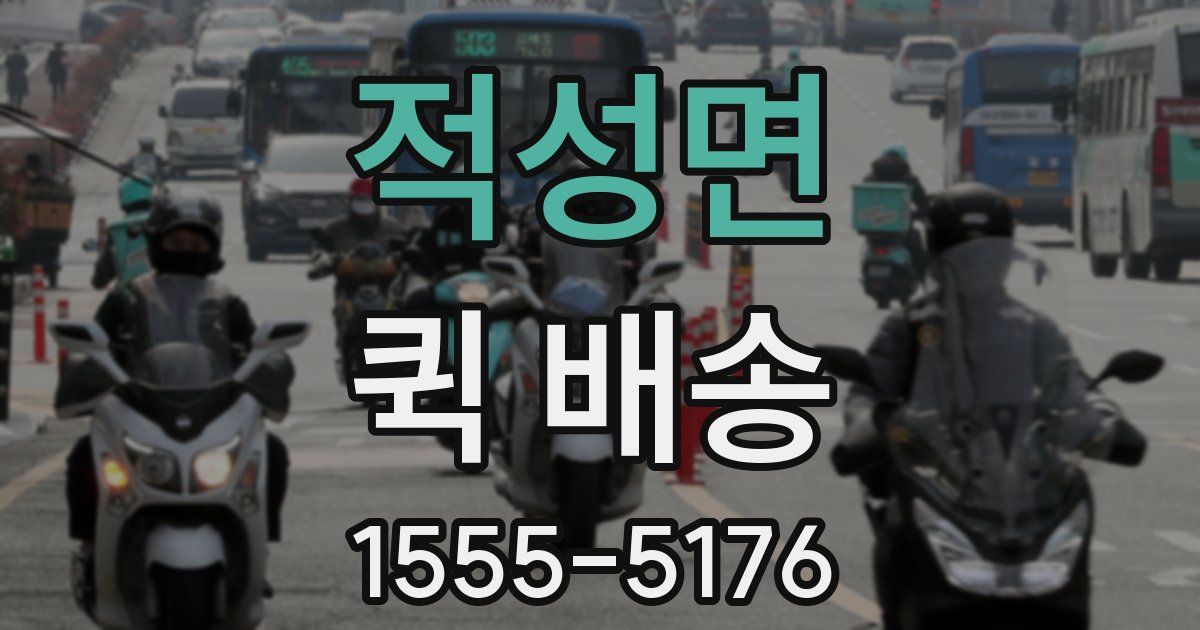 적성면 퀵 배송