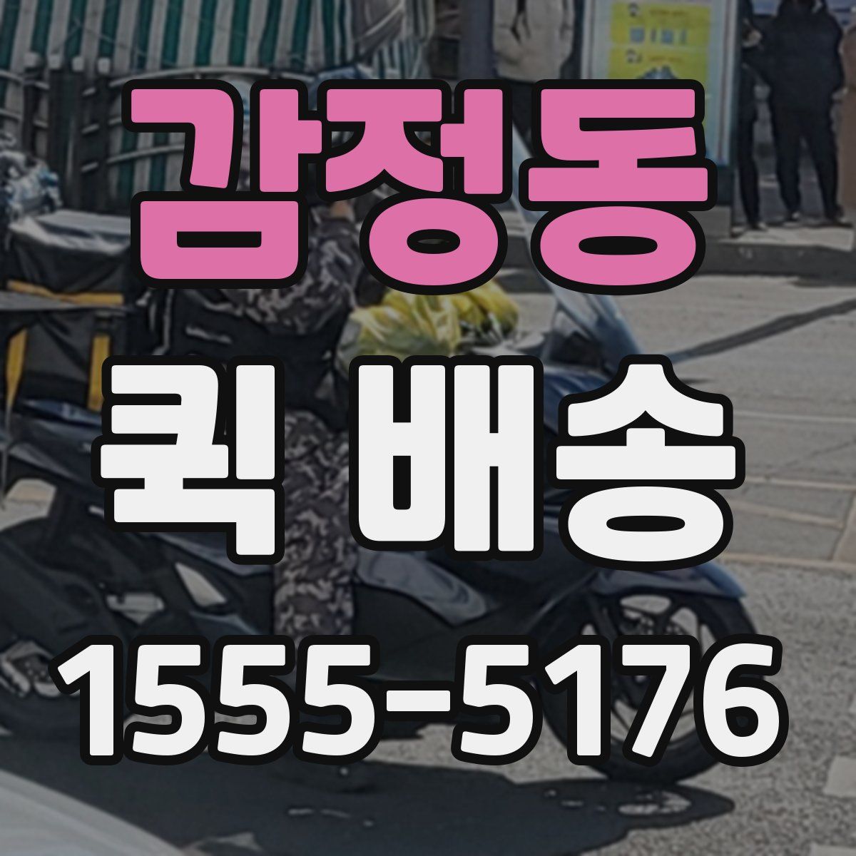 감정동 퀵 배송