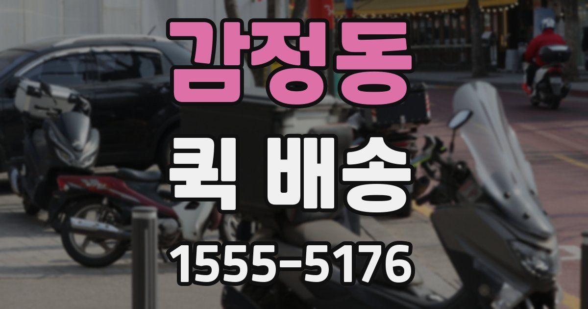감정동 퀵 배송