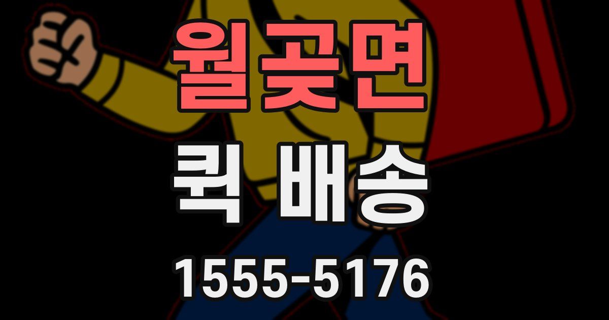 월곶면 퀵 배송