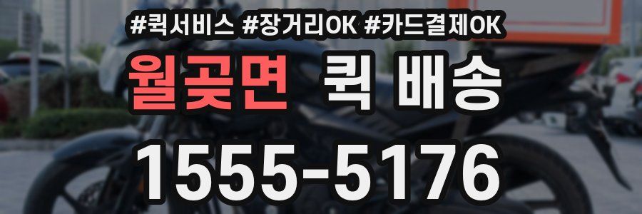 월곶면 퀵 배송