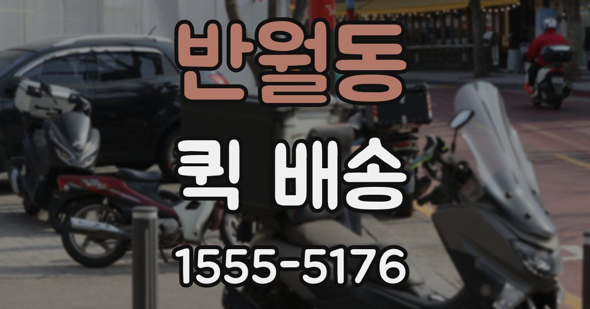 반월동 퀵 배송