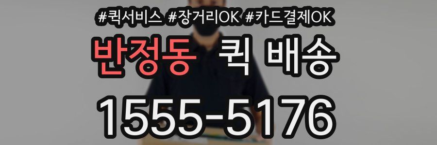 반정동 퀵 배송
