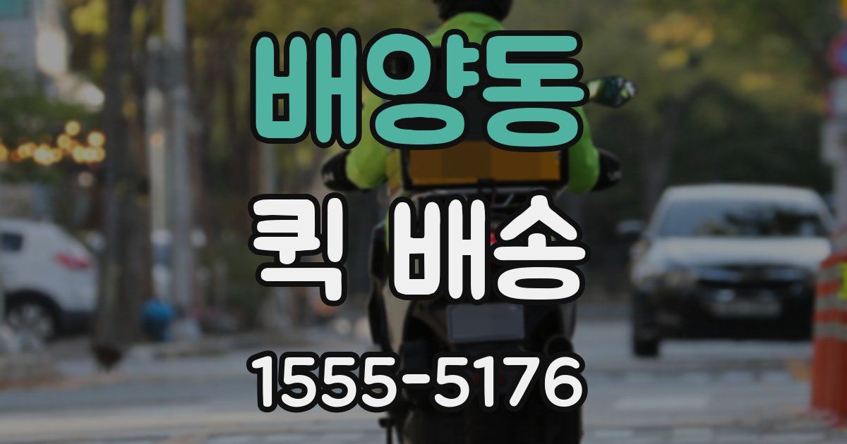배양동 퀵 배송