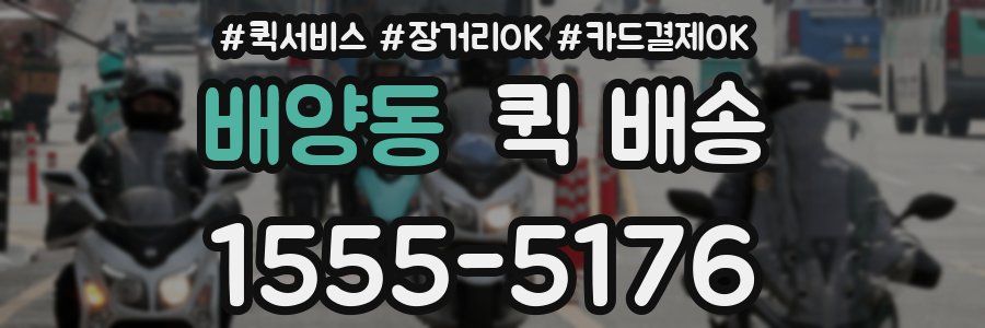 배양동 퀵 배송