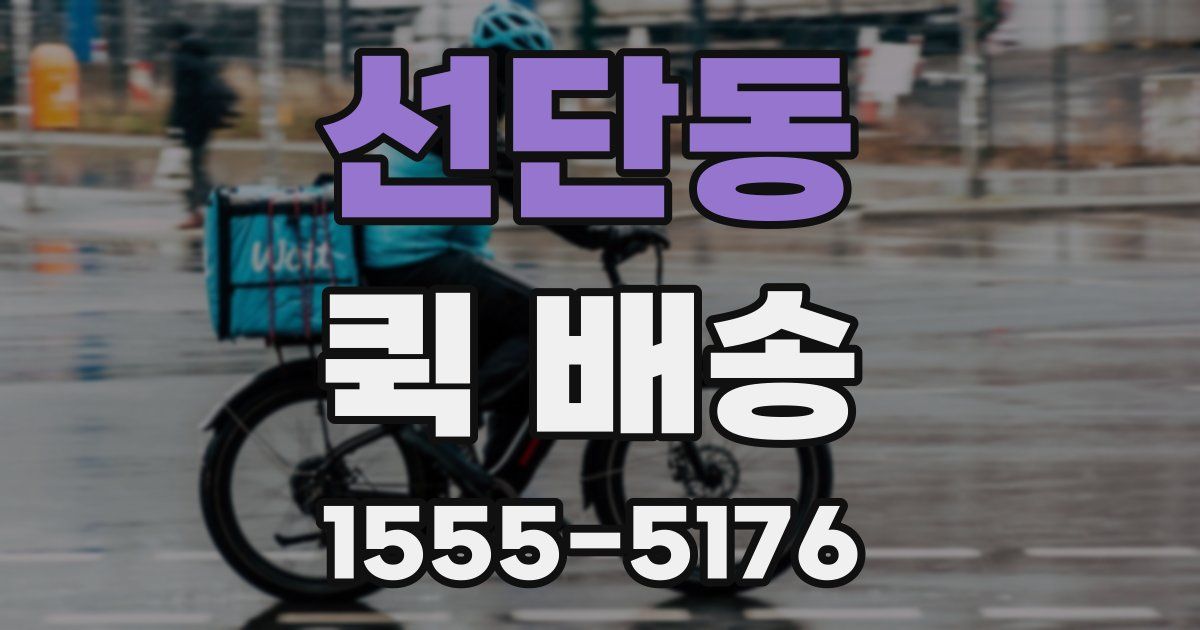 선단동 퀵 배송