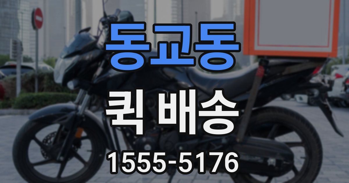 동교동 퀵 배송