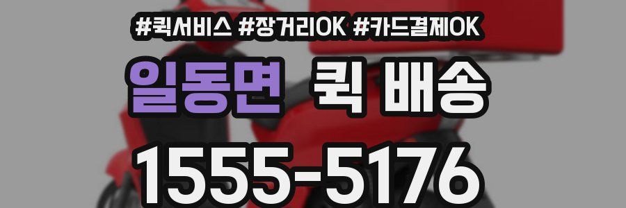 일동면 퀵 배송