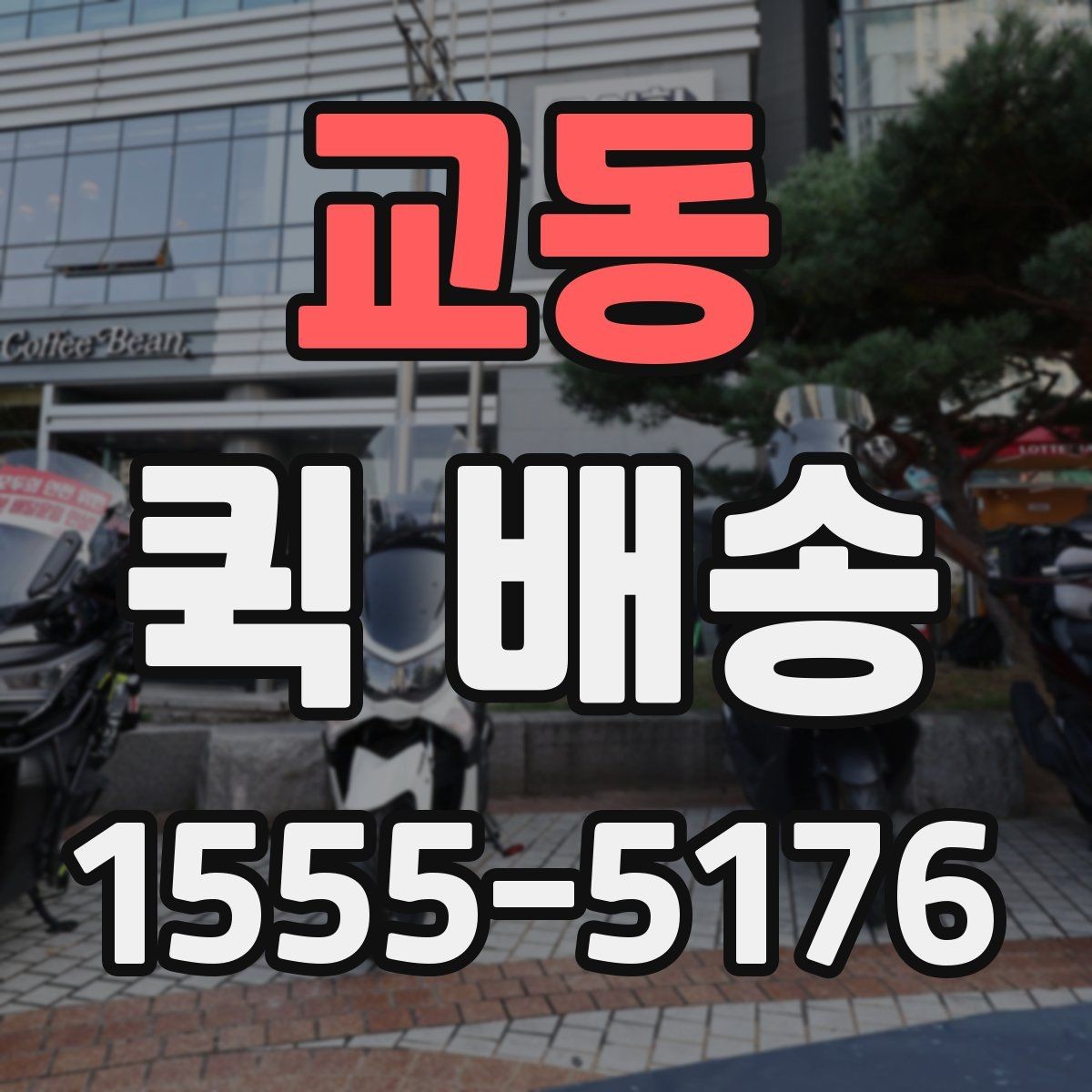 교동 퀵 배송 당일 요청 시 체크리스트