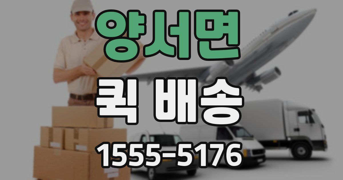 양서면 퀵 배송