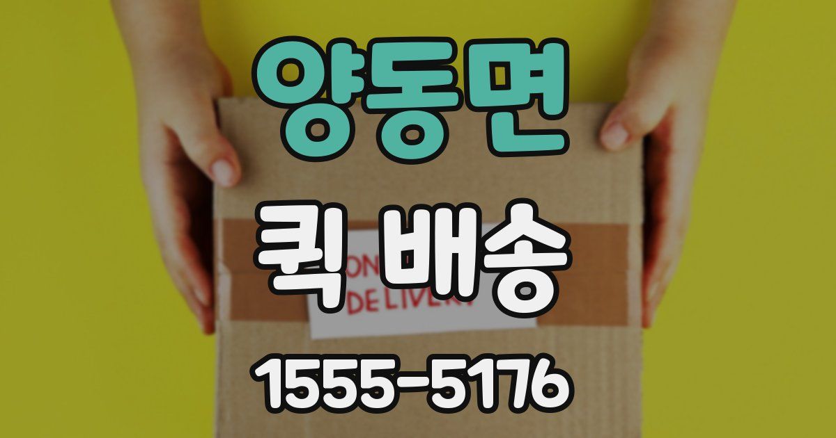 양동면 퀵 배송