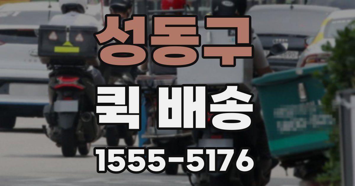 성동구 퀵 배송