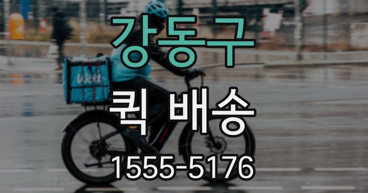 강동구 퀵 배송