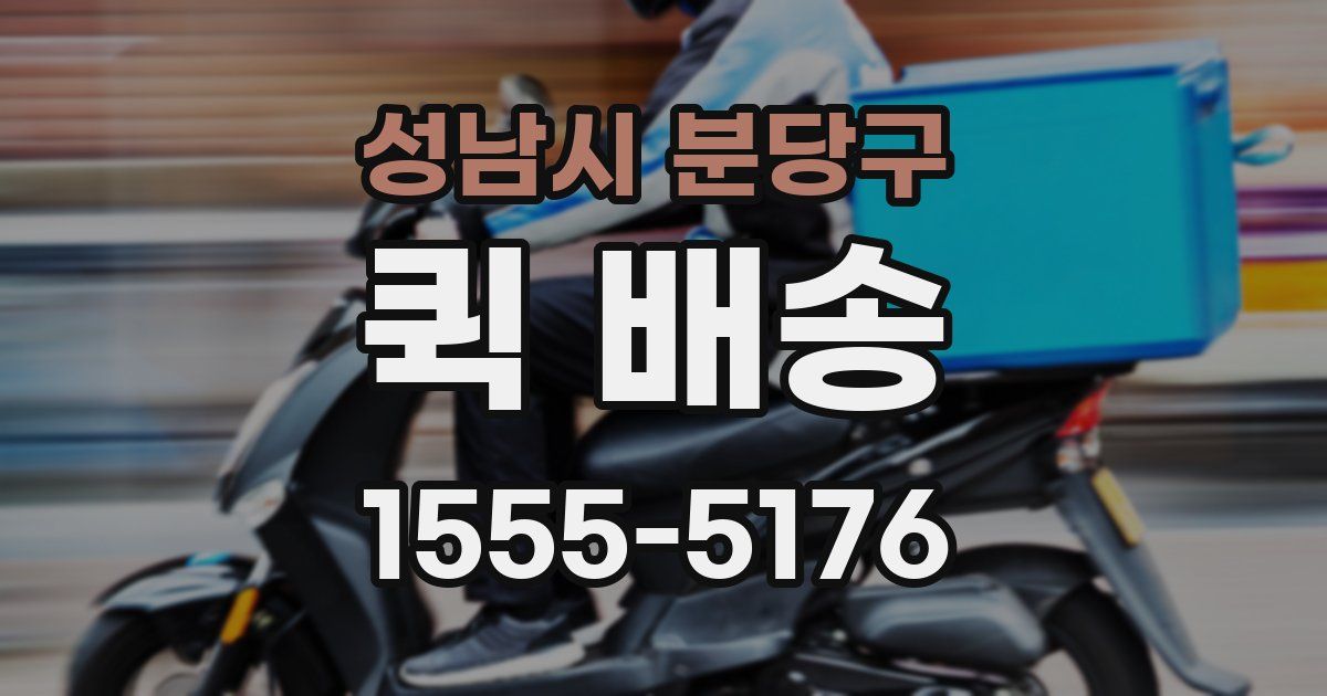 성남시 분당구 퀵 배송
