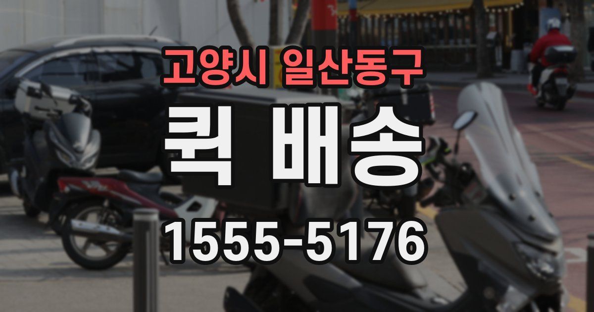 고양시 일산동구 퀵 배송