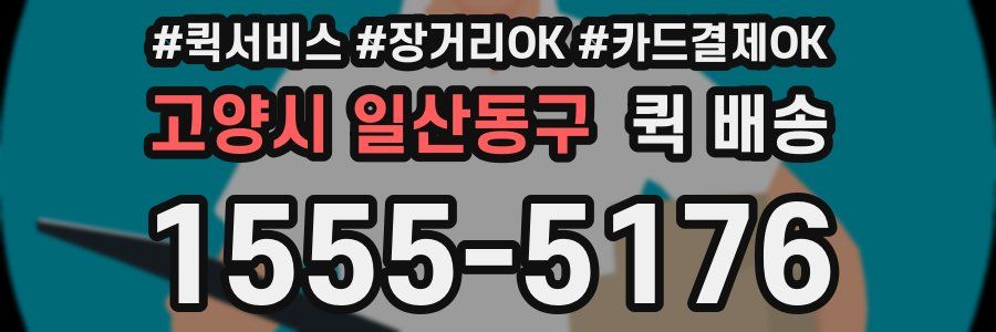 고양시 일산동구 퀵 배송