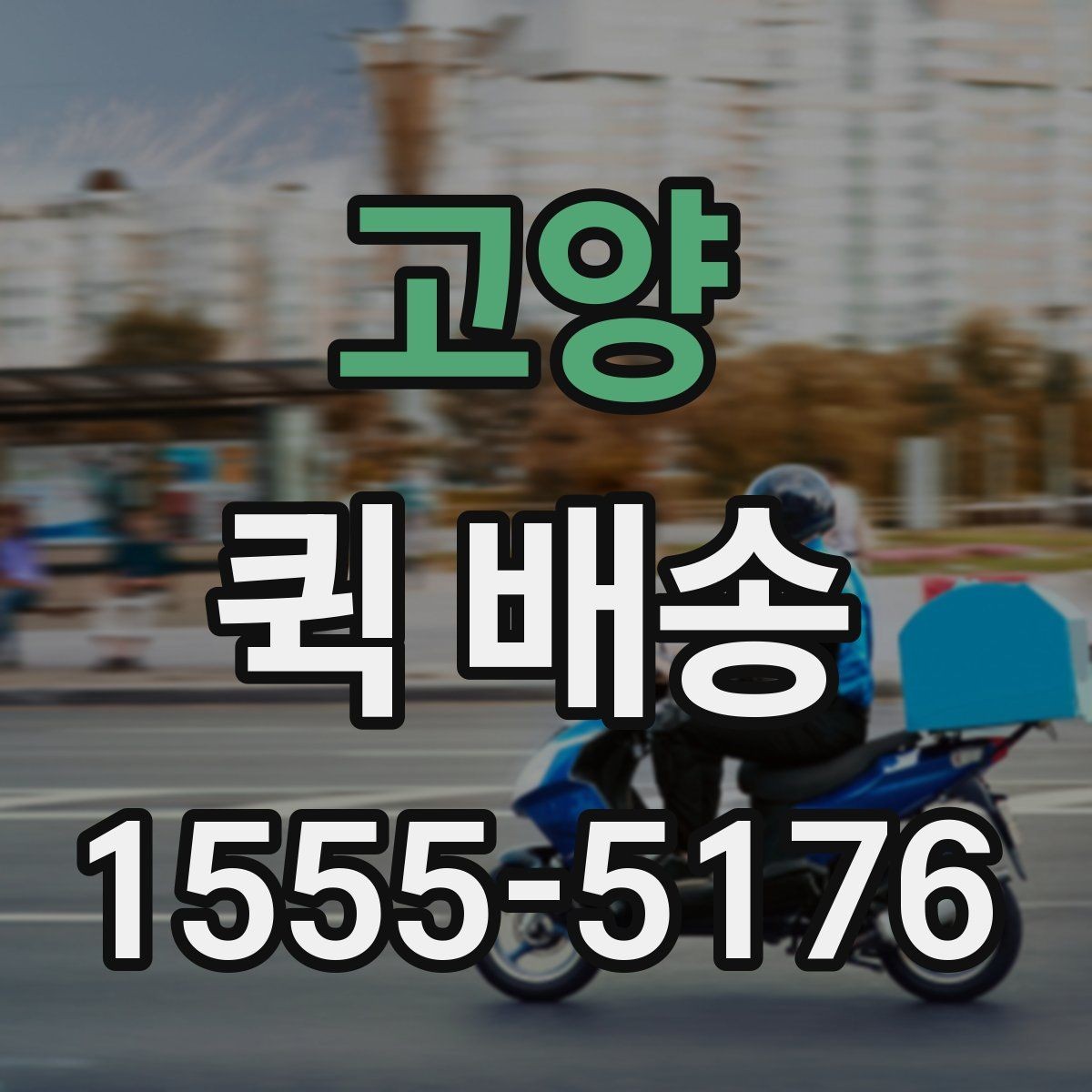 고양 퀵 배송 업체 선택할 때 보는 항목