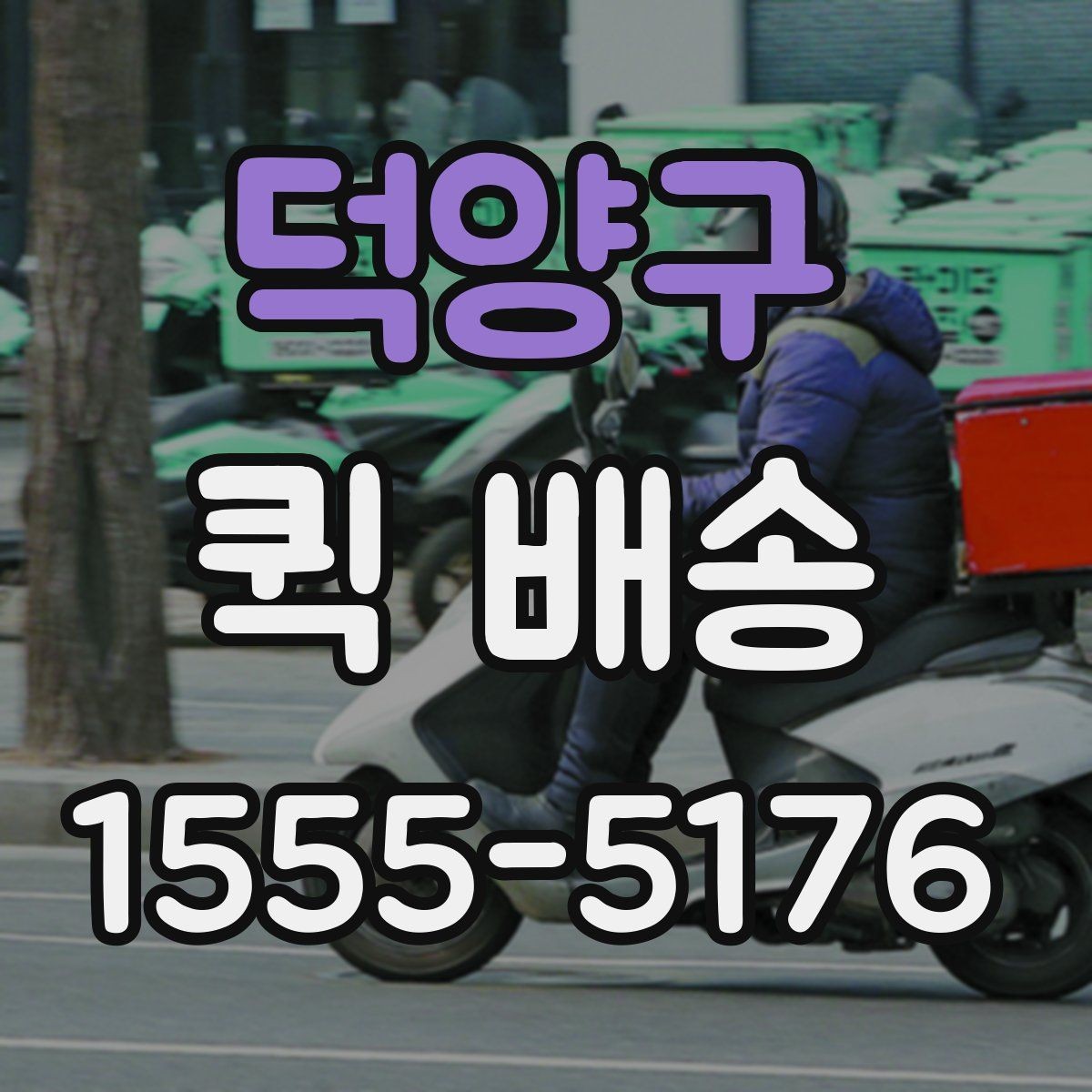 덕양구 퀵 배송 서비스 비교할 때 보는 기준