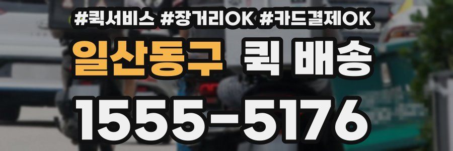 일산동구 퀵 배송