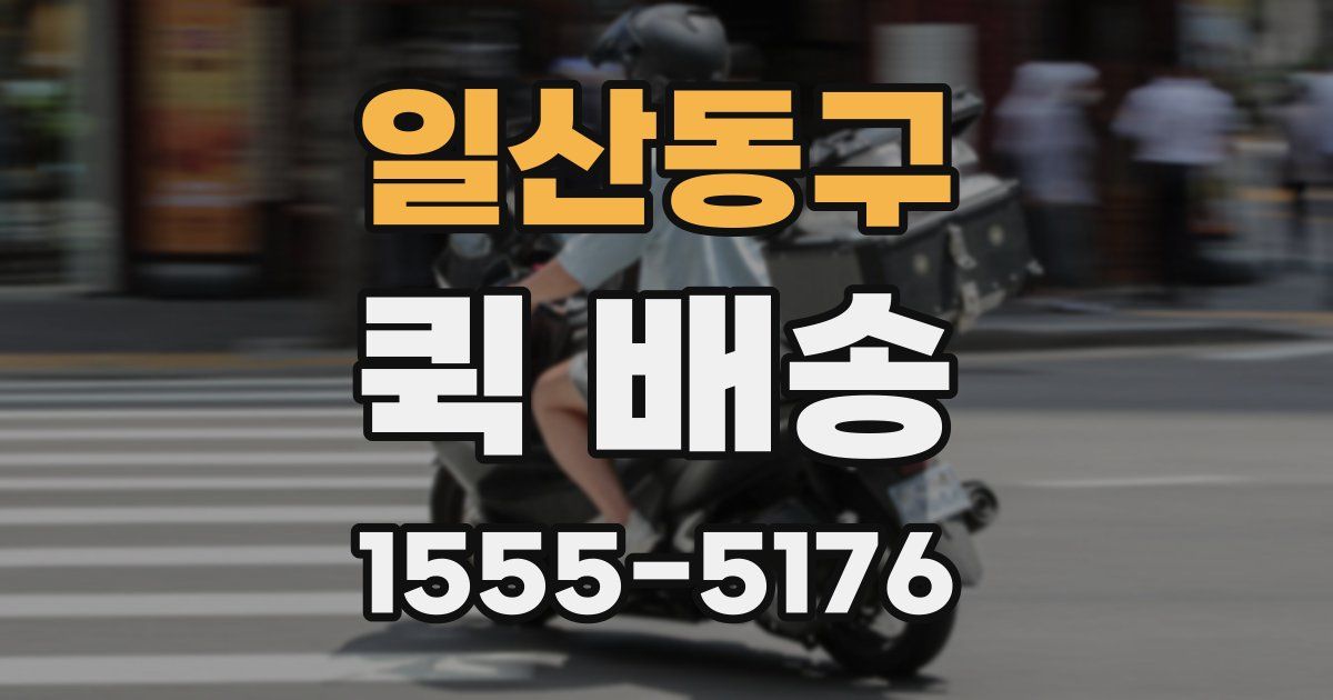 일산동구 퀵 배송