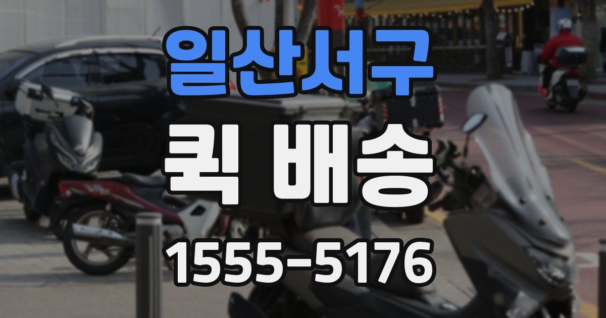일산서구 퀵 배송